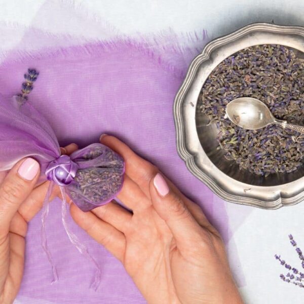 Conserva el aroma de la lavanda: ¡descubre las técnicas infalibles para un secado perfecto!