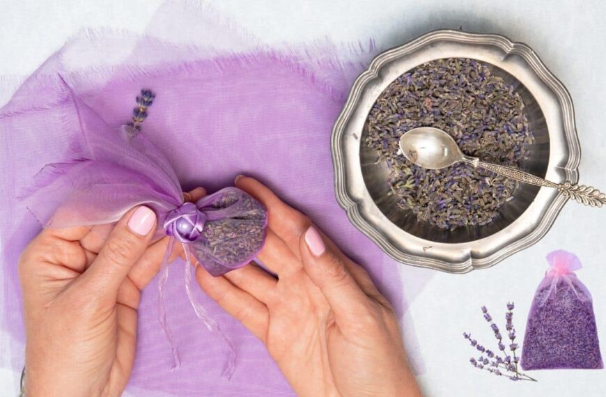 Conserva el aroma de la lavanda: ¡descubre las técnicas infalibles para un secado perfecto!