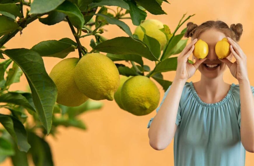 Salva tu limonero: prevención y remedios para la curvatura de las hojas