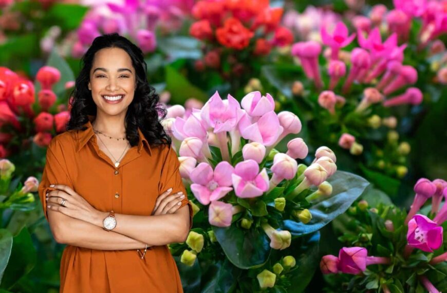 ¡Descubra cómo los kalanchoes pueden transformar su jardín en un oasis de color!