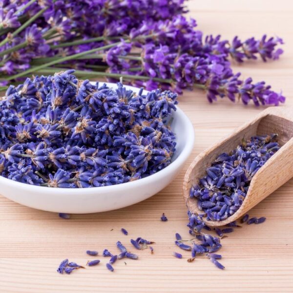 ¿Cómo y cuándo recolectar lavanda para hacer bolsas?