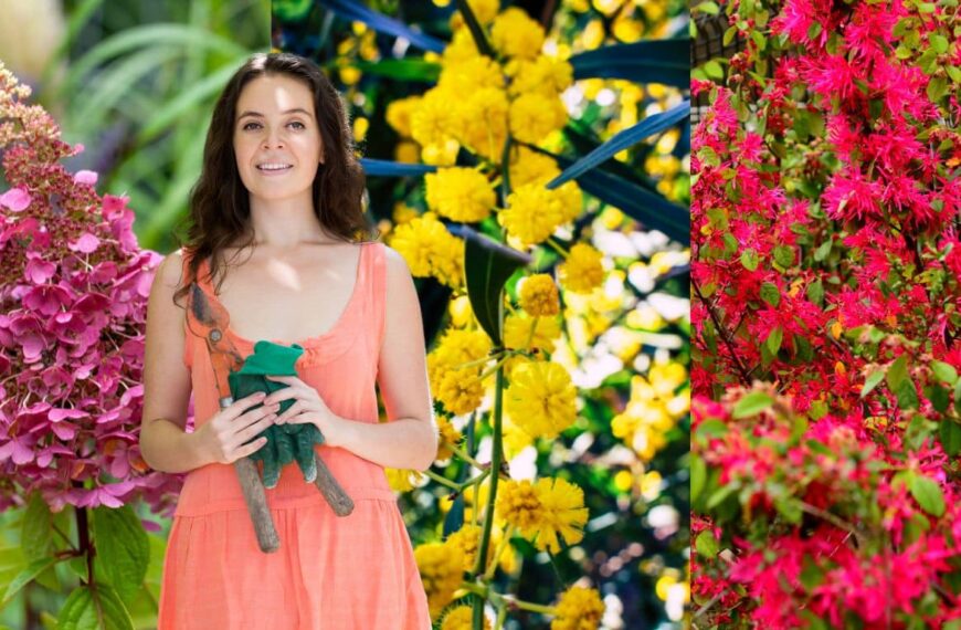 Descubre los 5 arbustos de floración rápida para un jardín siempre colorido