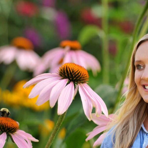 Las mejores plantas perennes para un jardín luminoso y soleado.
